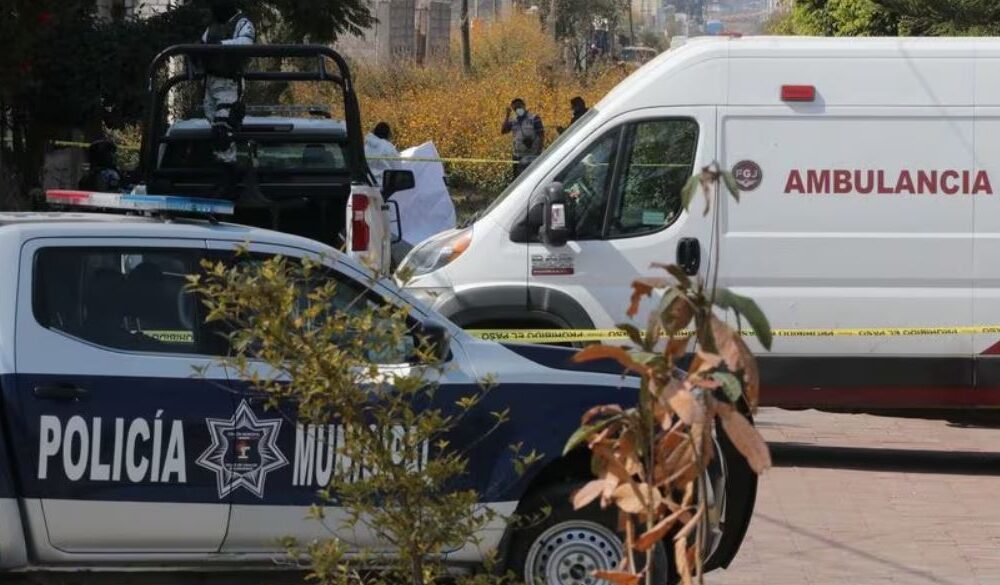 Seis Muertos Dej Enfrentamiento Armado En El Palenque De Gallos De