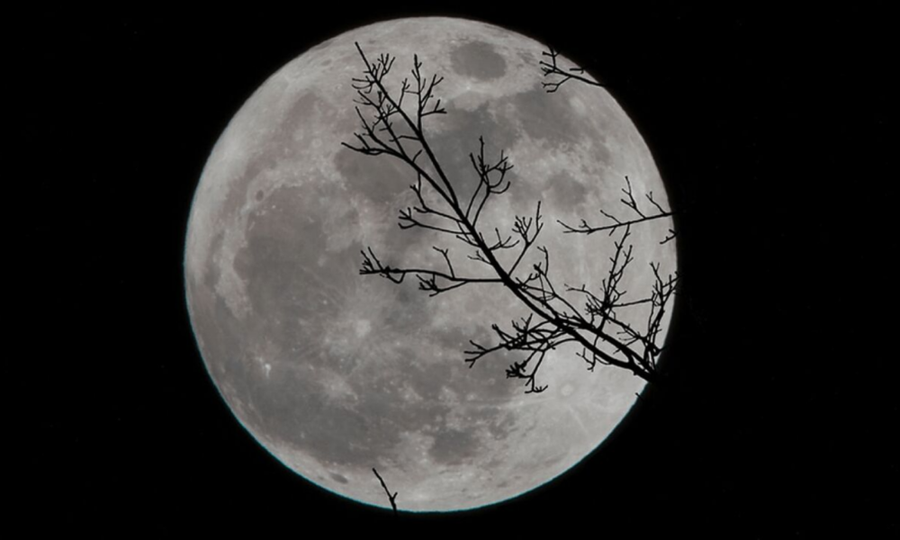 ¿Cuándo y cómo ver la Luna llena de febrero? Austin Latino