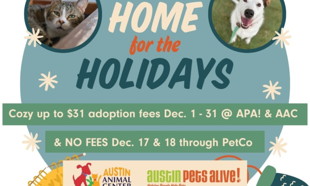 APA y AAC quieren llevar a casa mascotas en temporada navideña