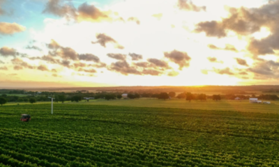 Este viñedo de Texas está clasificado como uno de los mejores del mundo