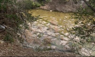 Foto del daño de la tormenta de hielo en Bull Creek District Park en el oeste de Austin. (Crédito: CBS Austin)