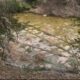 Foto del daño de la tormenta de hielo en Bull Creek District Park en el oeste de Austin. (Crédito: CBS Austin)