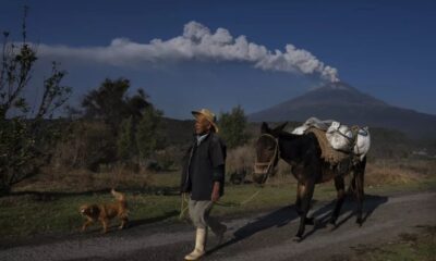 ARCHIVO - José Marcos de Olarte camina con su mula cerca del volcán Popocatépetl en Santiago Xalitzintla, México, 25 de mayo de 2023. México redujo el nivel de alerta en el volcán Popocatépetl el martes 6 de junio de 2023 después de más de dos semanas de erupciones de gas y cenizas. (Marco Ugarte / Associated Press)