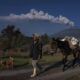 ARCHIVO - José Marcos de Olarte camina con su mula cerca del volcán Popocatépetl en Santiago Xalitzintla, México, 25 de mayo de 2023. México redujo el nivel de alerta en el volcán Popocatépetl el martes 6 de junio de 2023 después de más de dos semanas de erupciones de gas y cenizas. (Marco Ugarte / Associated Press)