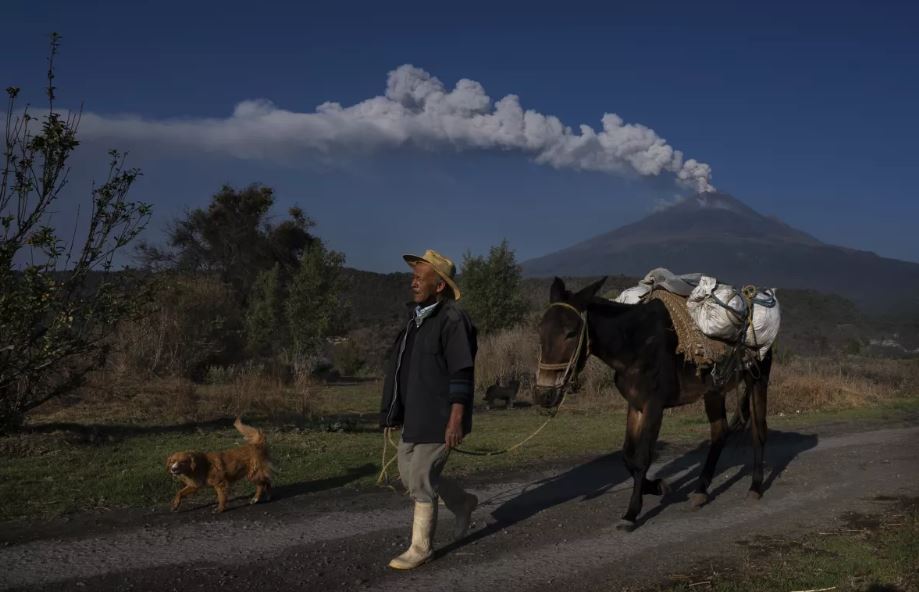 ARCHIVO - José Marcos de Olarte camina con su mula cerca del volcán Popocatépetl en Santiago Xalitzintla, México, 25 de mayo de 2023. México redujo el nivel de alerta en el volcán Popocatépetl el martes 6 de junio de 2023 después de más de dos semanas de erupciones de gas y cenizas. (Marco Ugarte / Associated Press)