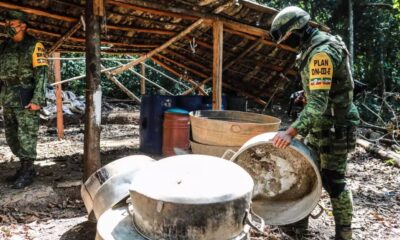 Un miembro del Ejército muestra el campamento y laboratorio clandestino que el Ejército Mexicano destruyó junto a cuatro hectáreas de plantas de coca en el municipio de Atoyac de Álvarez, en la sierra del estado de Guerrero (México). Fotografía de archivo. EFE/David Guzmán