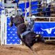 Rodeo Austin partnered with the Round Rock Express for the fourth consecutive bull-riding event in Dell Diamond. (Courtesy city of Round Rock)