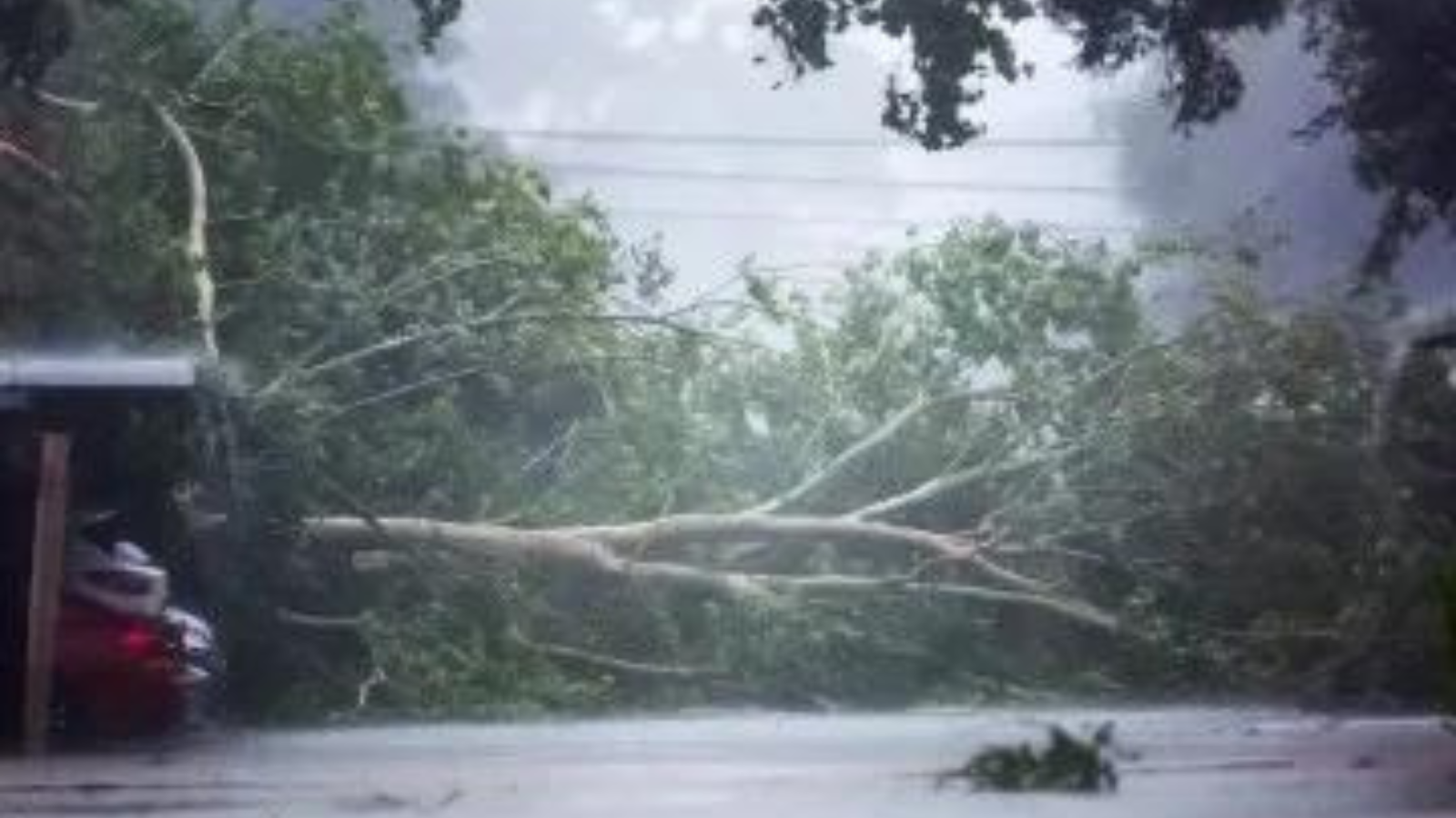 Reportan al menos dos muertos en Texas por el huracán Beryl