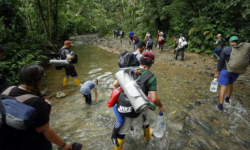 Panamá señaló que muchos migrantes que atraviesan la selva no portan documentos de identidad, lo que aumenta amenazas a su seguridad. Foto EFE