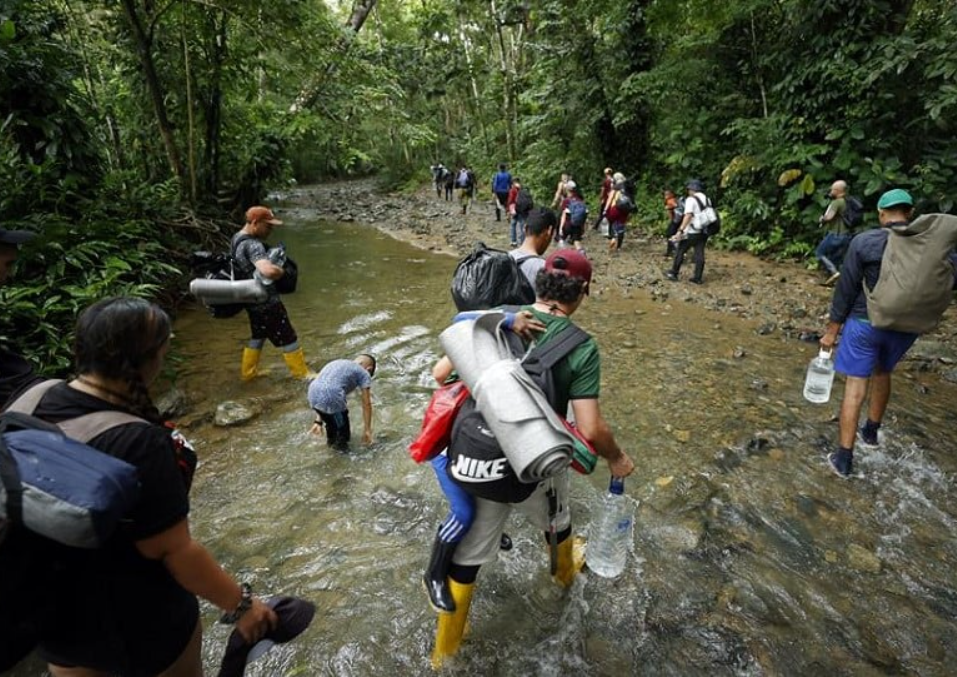 Panamá señaló que muchos migrantes que atraviesan la selva no portan documentos de identidad, lo que aumenta amenazas a su seguridad. Foto EFE