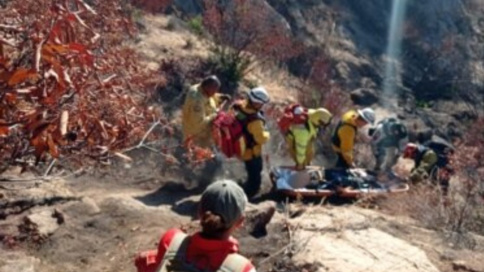 Encuentran cuerpos mutilados de dos mujeres en hieleras en Nuevo León