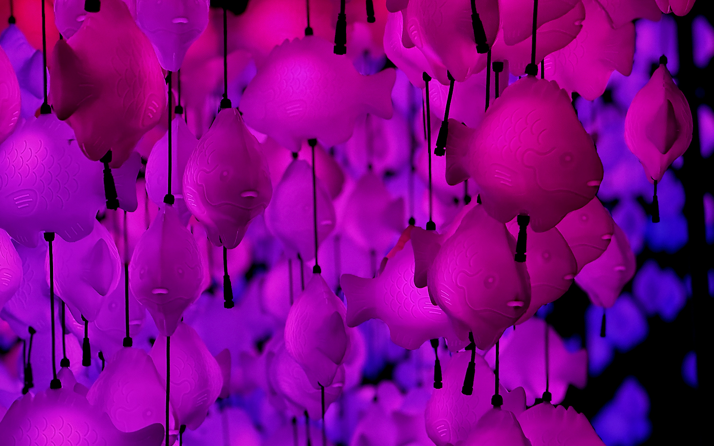 Creek Show en Waterloo Park | Foto: Austin Latino / Jorge Iturralde