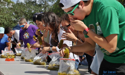 Festival de pepinillos