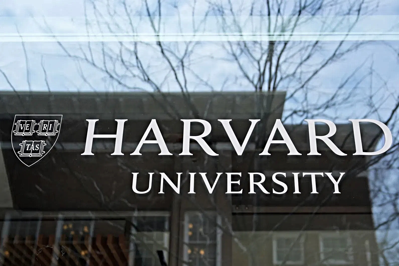 Harvard