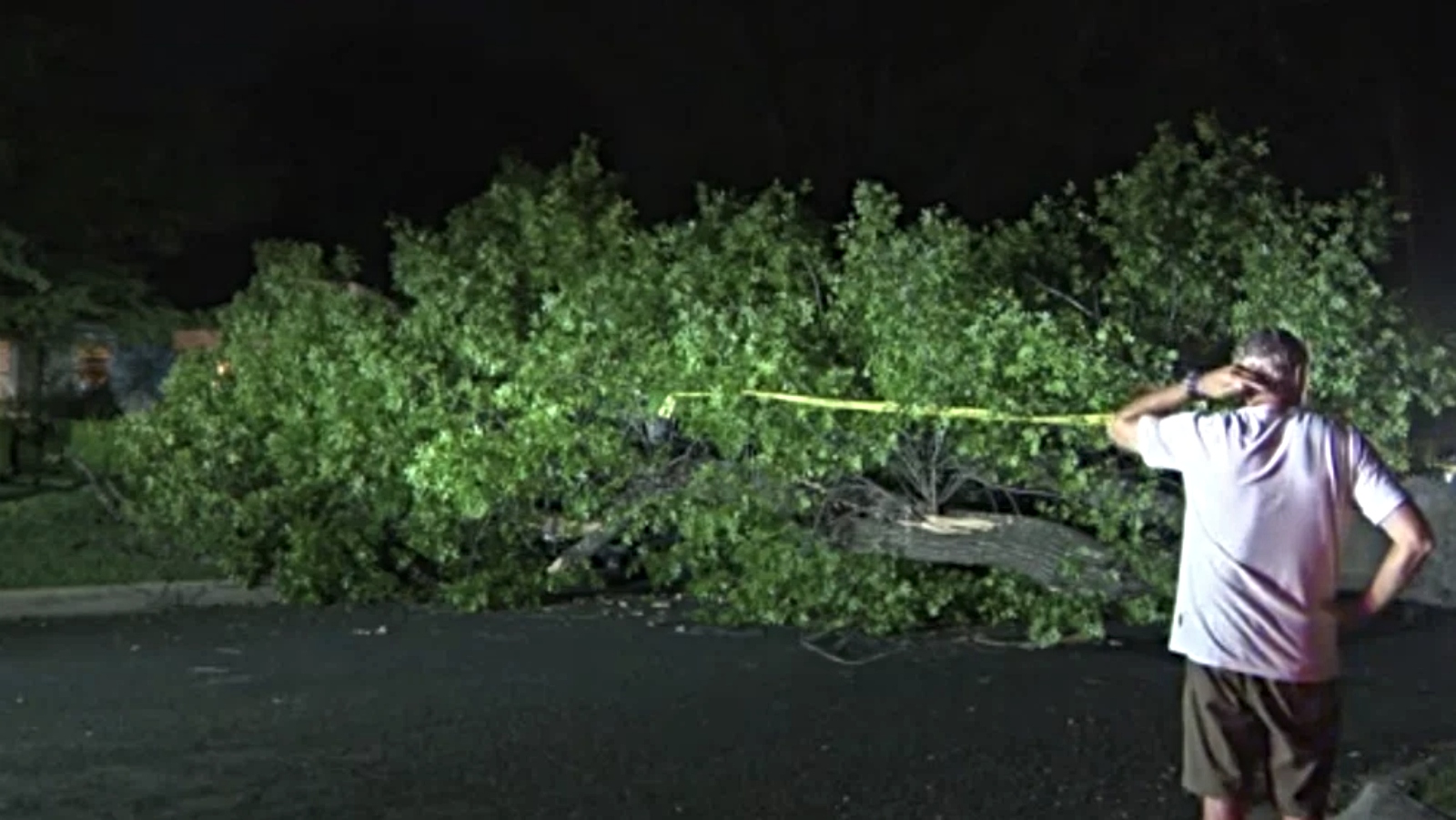 A tree fell in front of a Tarrytown home on June 25, 2025.