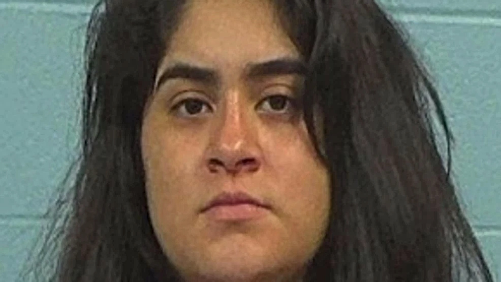 (Photo:Williamson County Sheriff's Office)