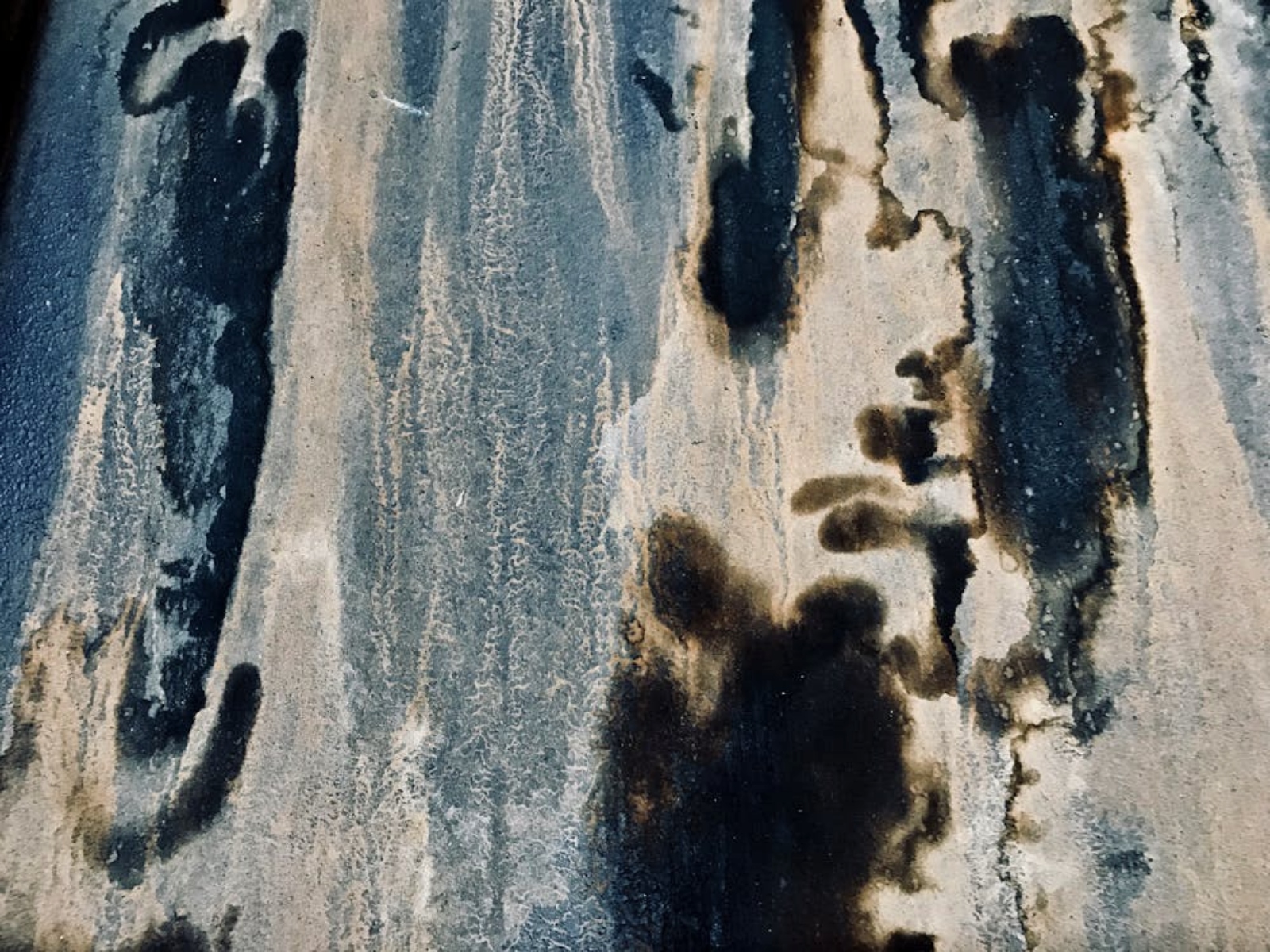 Credit: Karen Laårk Boshoff | Pexels