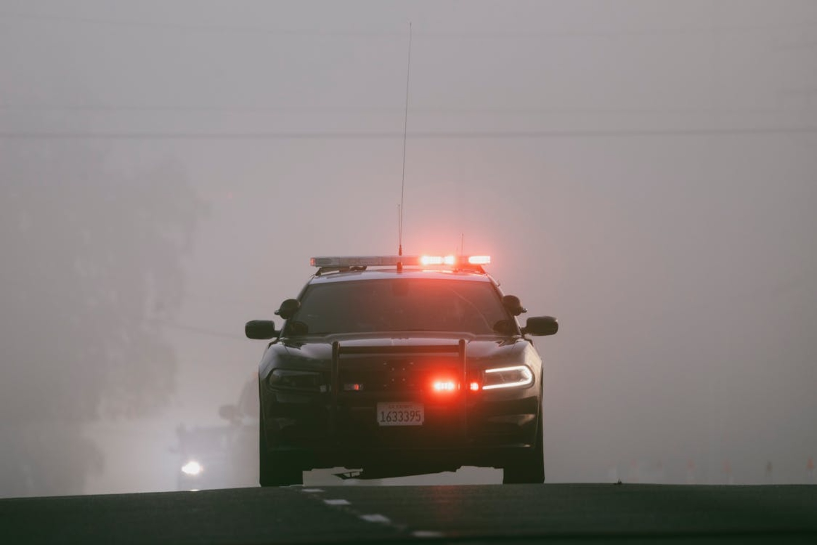 Photo: Stephen Leonardi