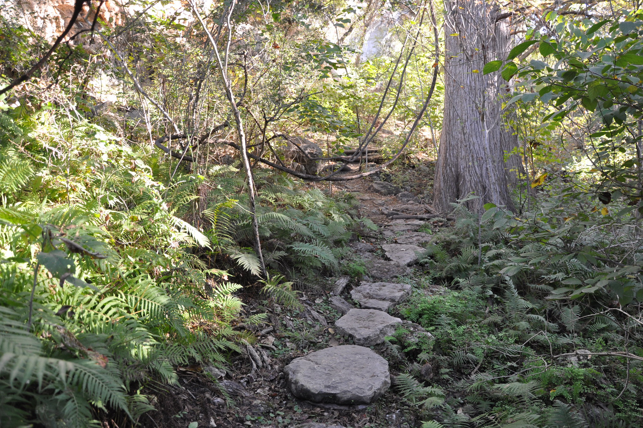 Photo: John Williams