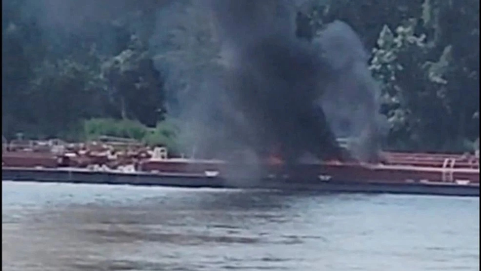 Photo: (Adam Briggs via AP)