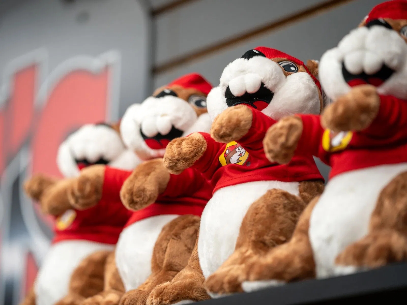 (Photo: Texas A&M University)