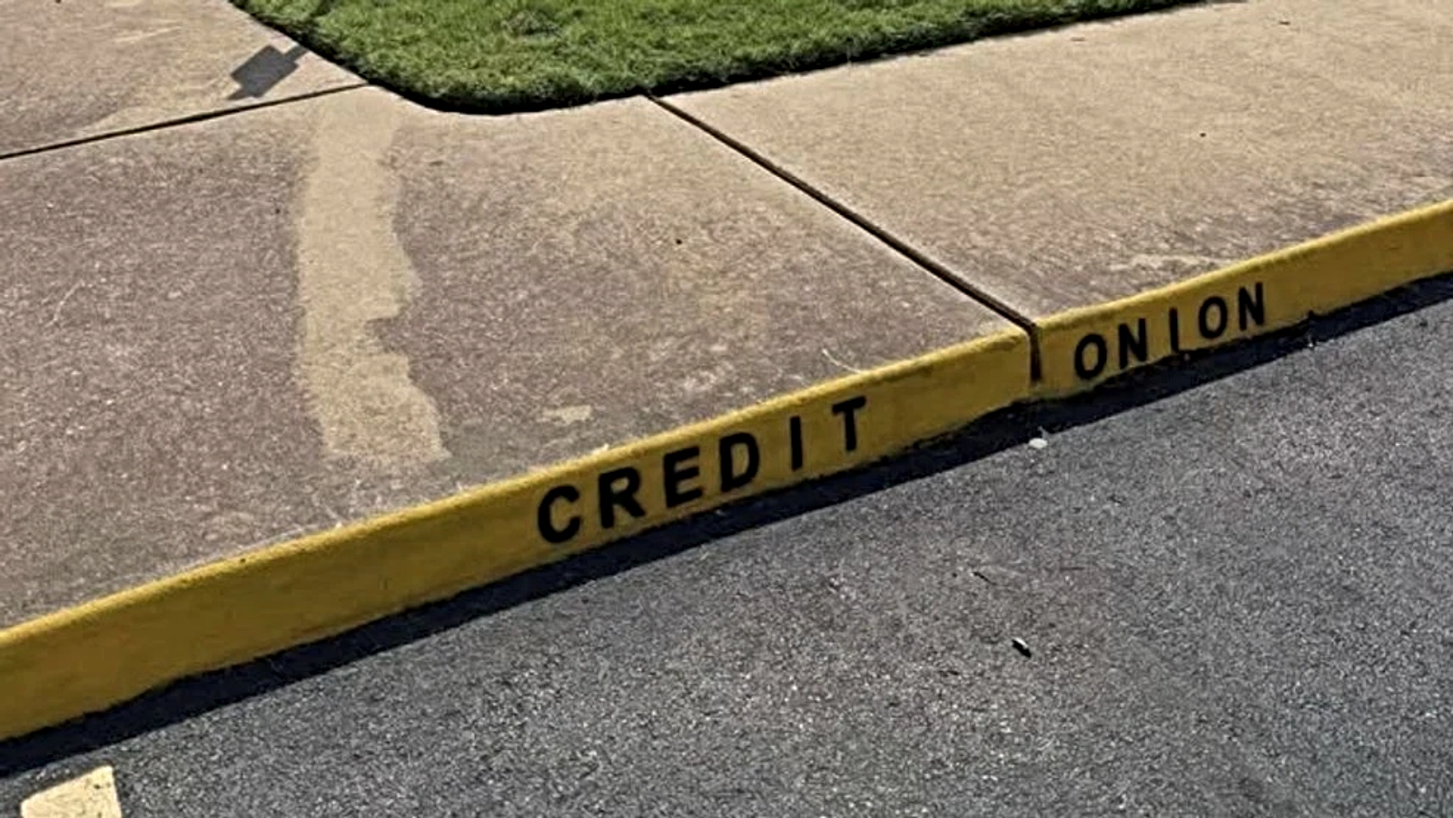 (Photo:Derek Loretto)