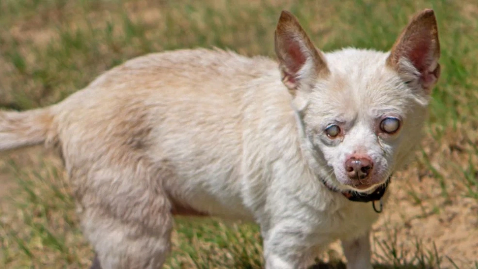 (Photo:Hello Light Photography)