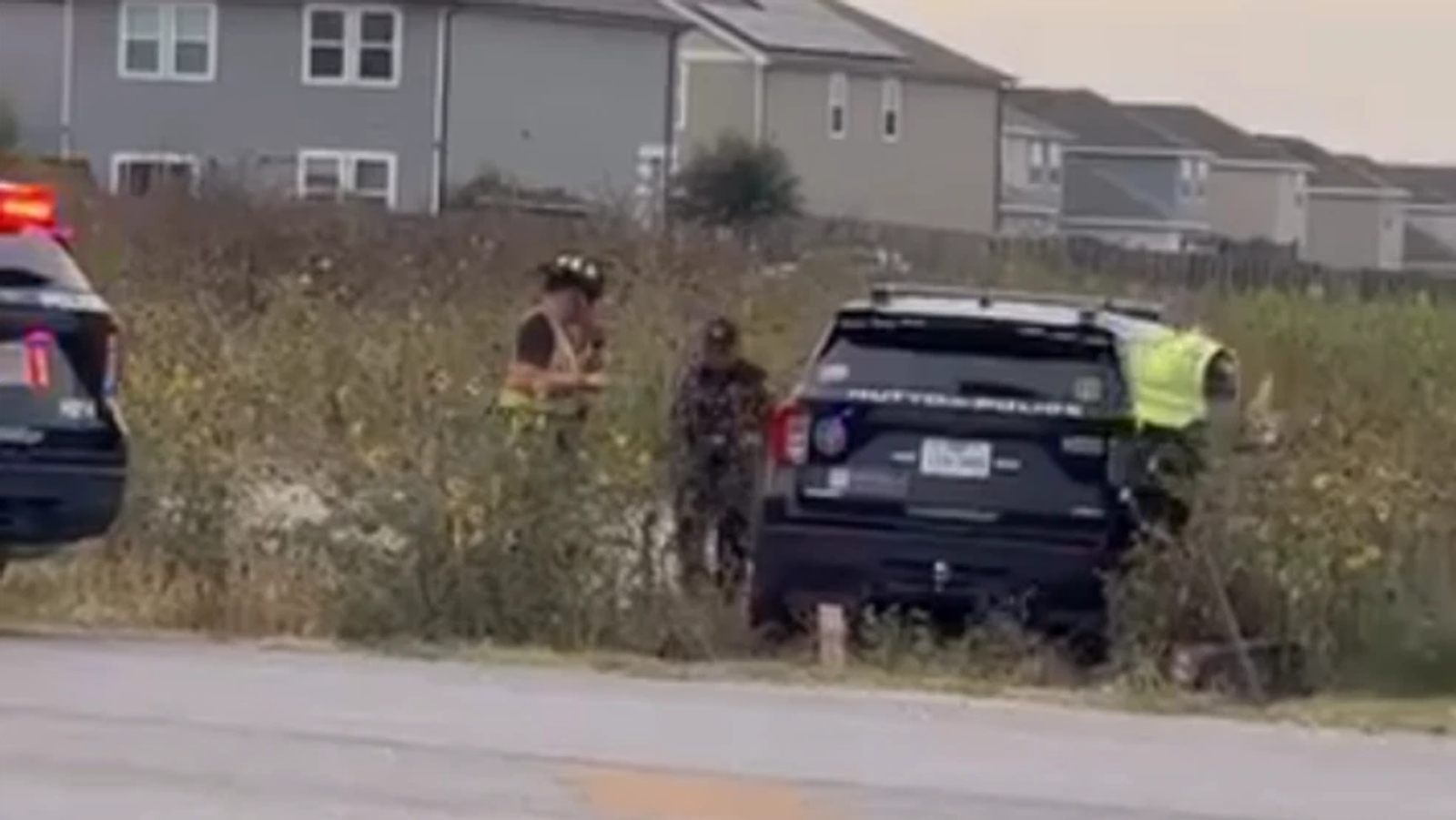 (Credit: Cesar Flores)