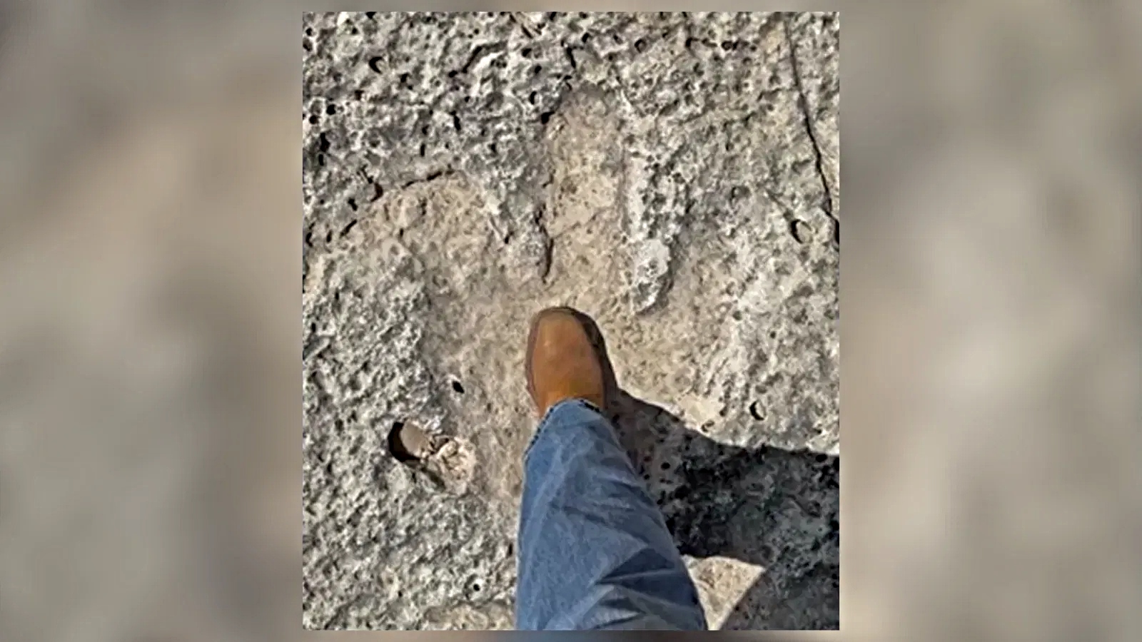 Photo: SBG San Antonio