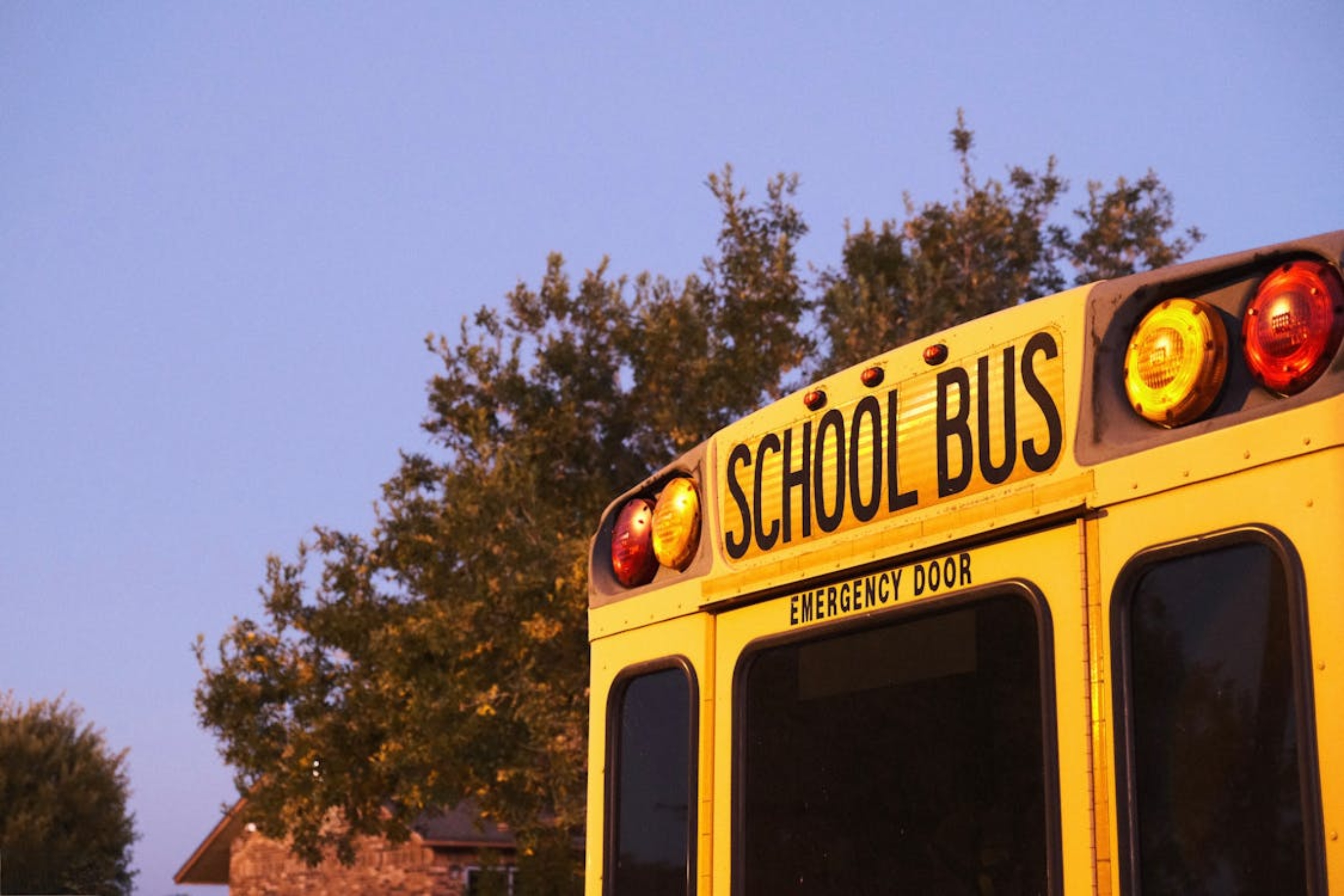 Foto de Jass Sosa: https://www.pexels.com/es-es/foto/parte-trasera-del-autobus-escolar-28208492/