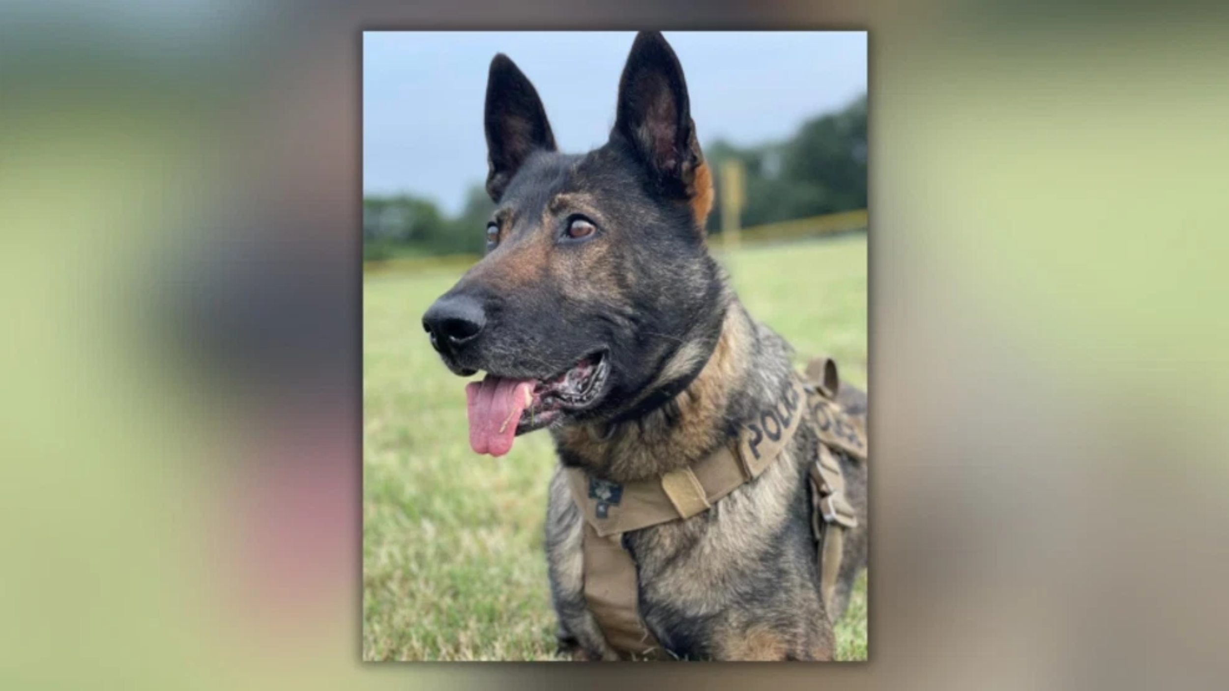 (Photo: Austin Police Association)