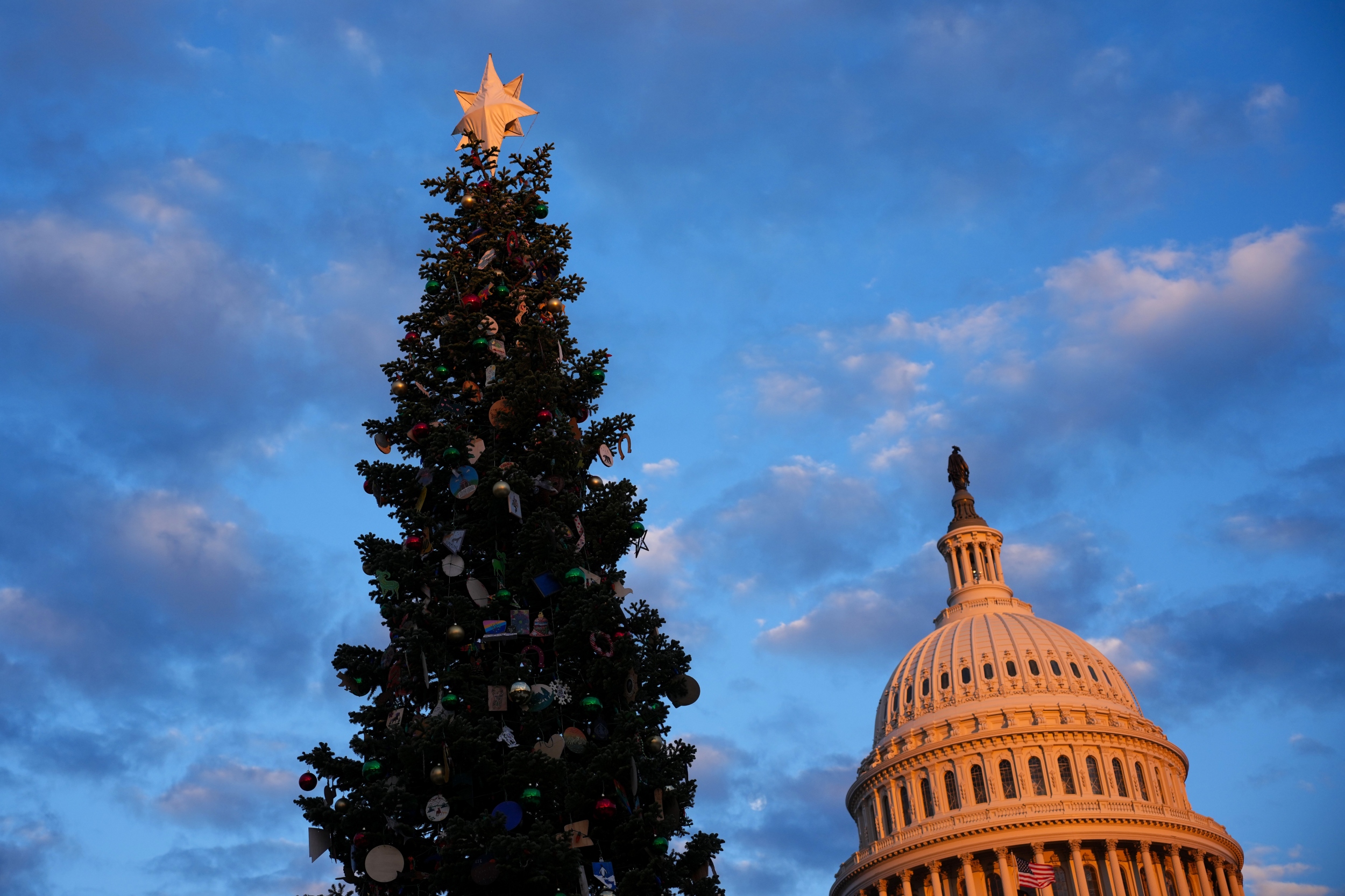 (Photo by Andrew Harnik/Getty Images)