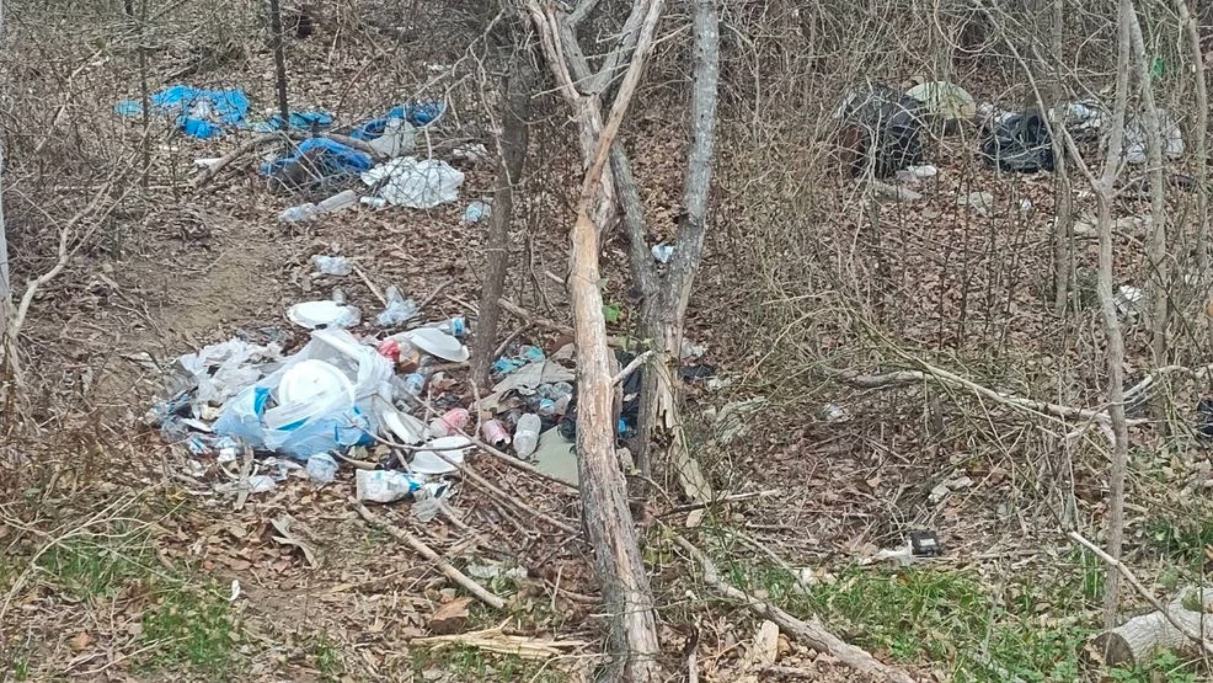 (Photo: Caldwell County Constable's Office)