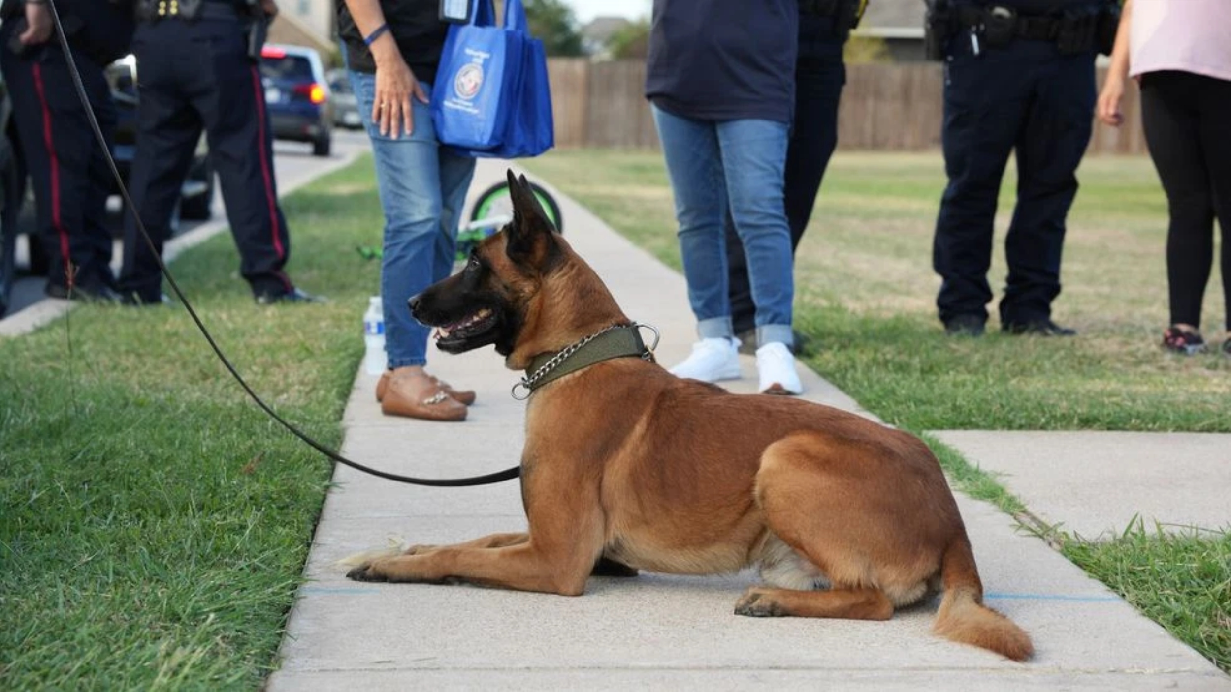 (Photo: Hutto Police Department)