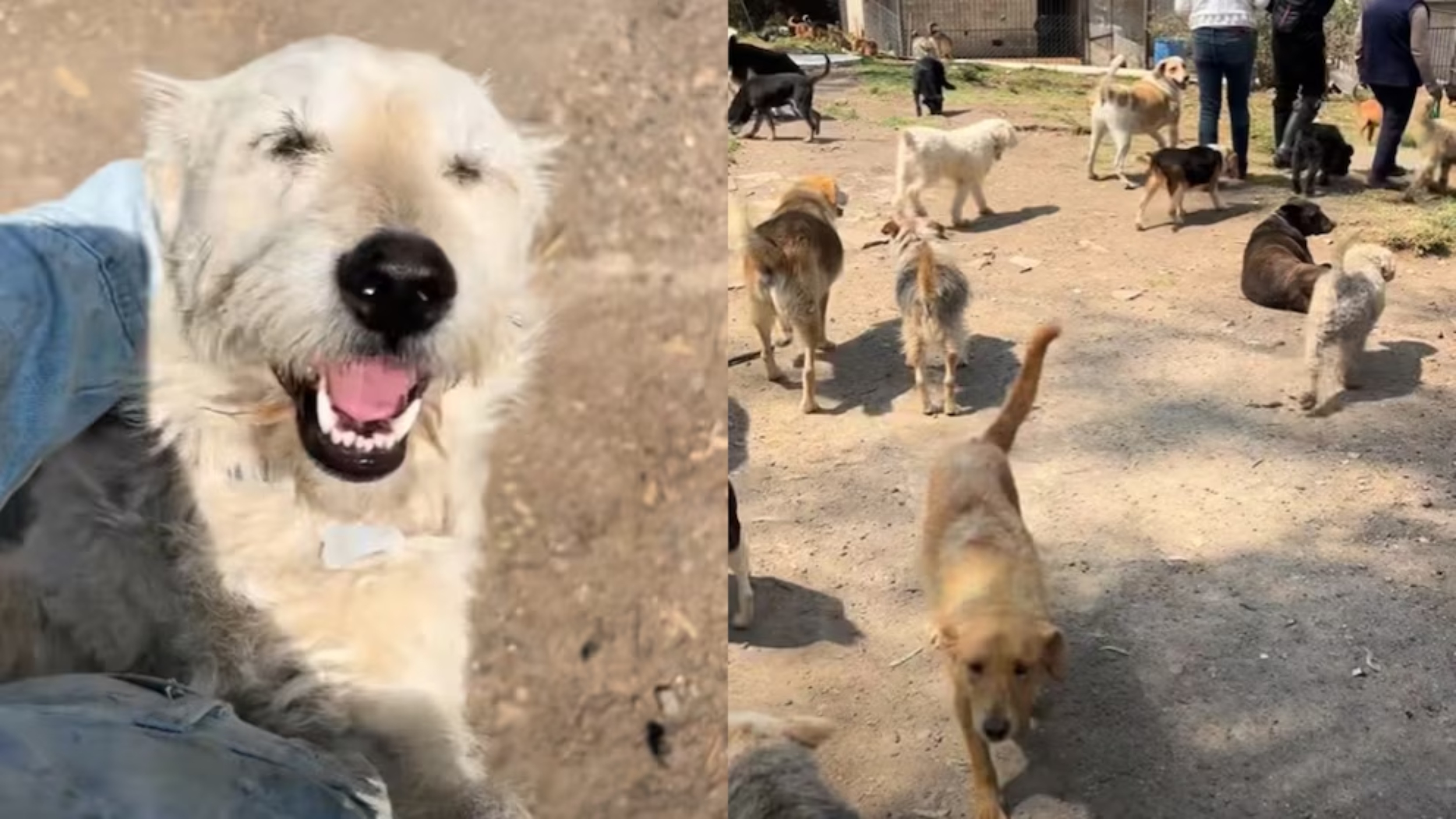 (fb/refugiofranciscanoac)