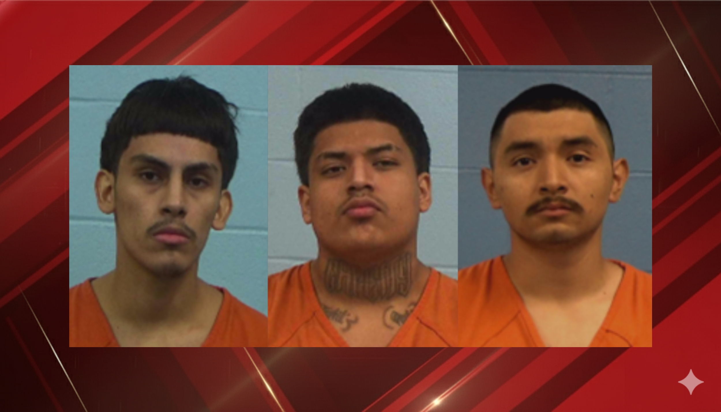 (Photo: Williamson County Jail)