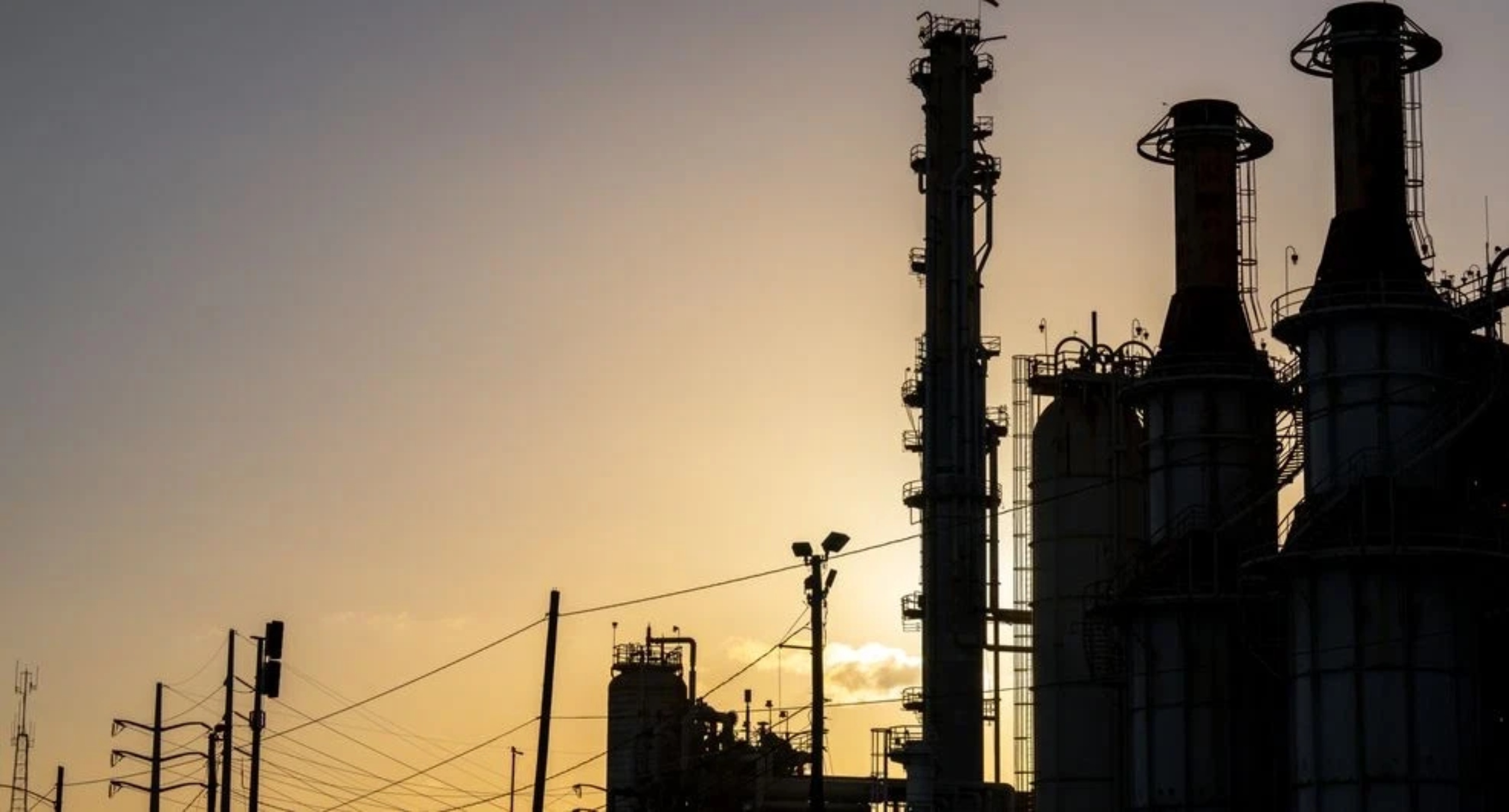 (Photo by Brandon Bell/Getty Images)