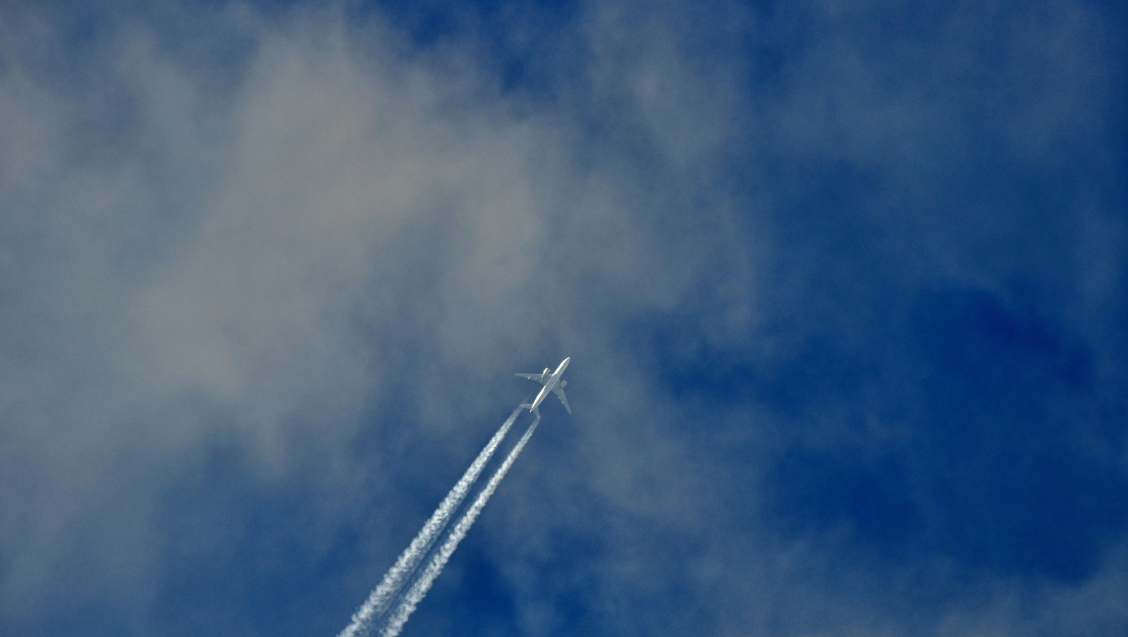 Foto_ Jan Šimanovský