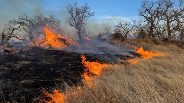 (Photo: Fredericksburg/Gillespie County Emergency Management)