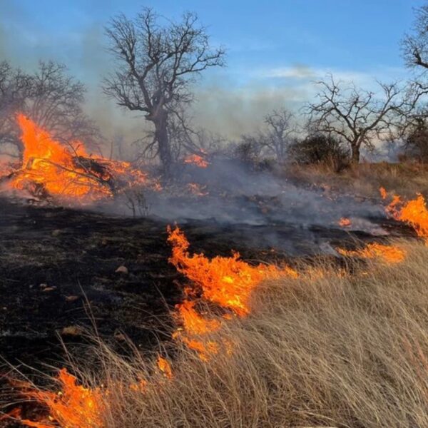 (Photo: Fredericksburg/Gillespie County Emergency Management)