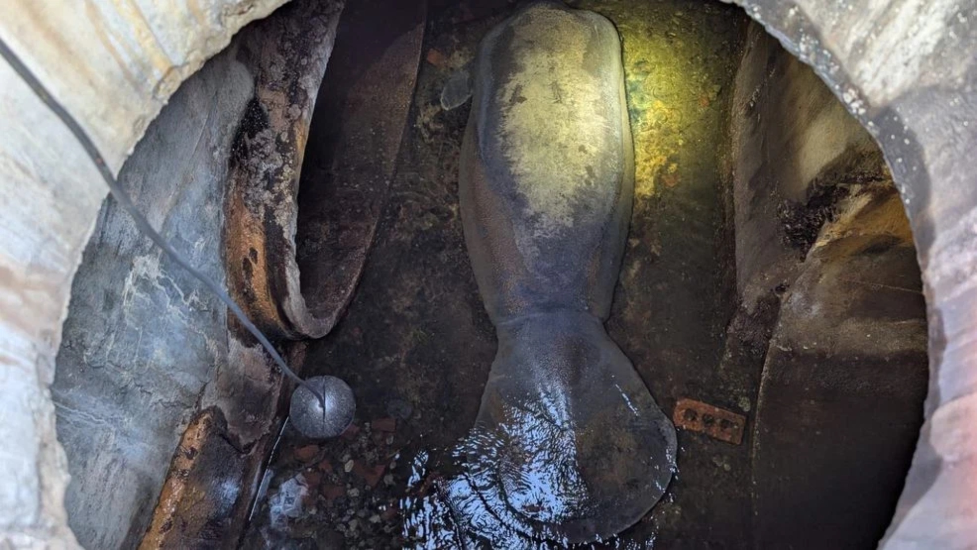 (Photo:Brevard County Fire Rescue)