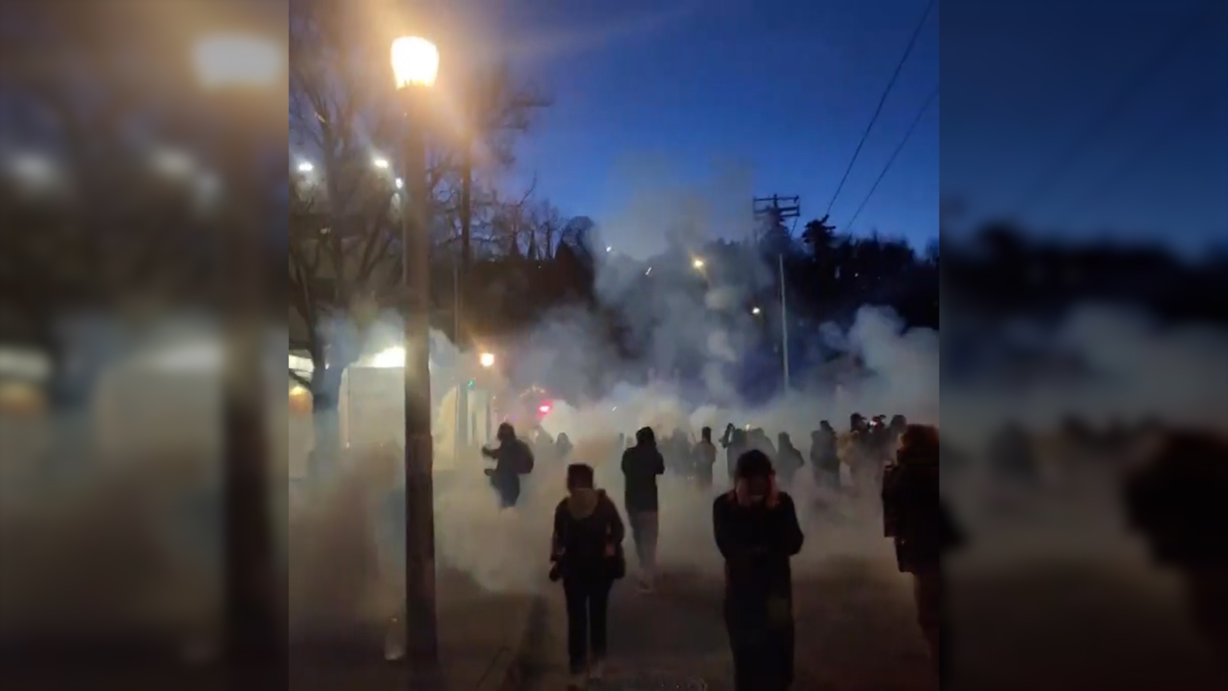during protests in Portland.