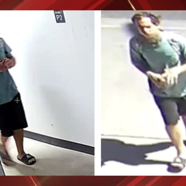 (Credit: Downtown Austin Alliance)