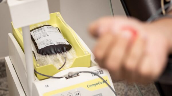 Cortesía: Lucas Oliveira