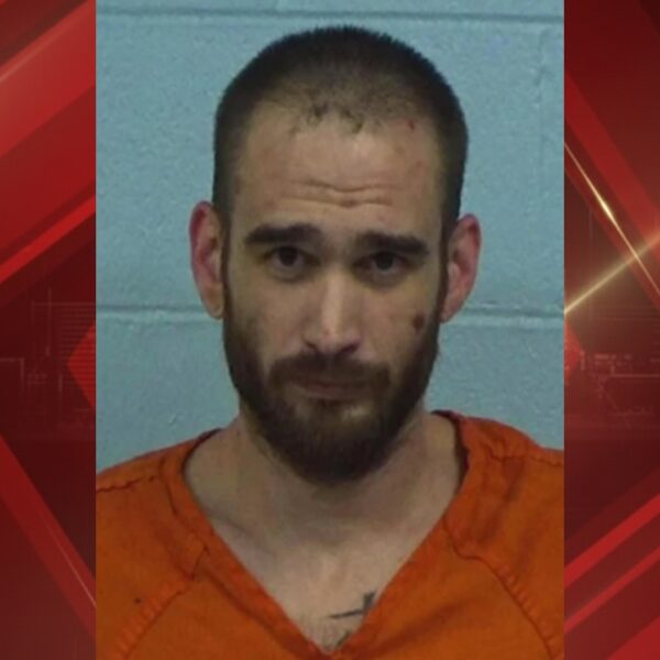 (Credit: Williamson County Sheriff's Office)