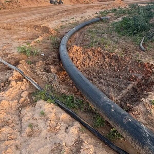 (Credit: Fayette County Sheriff's Office)