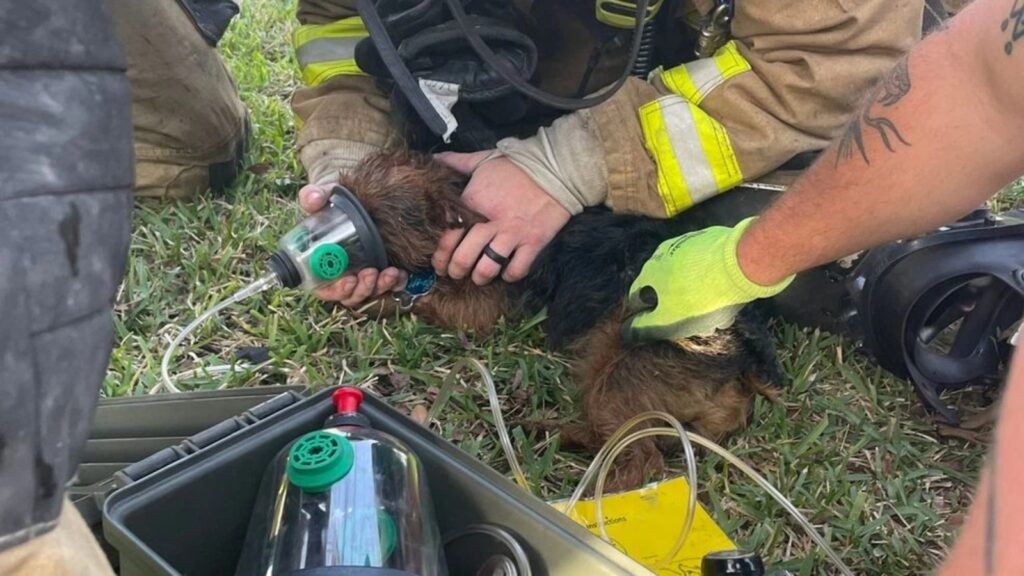 PHOTO: @austinfiredept (X)