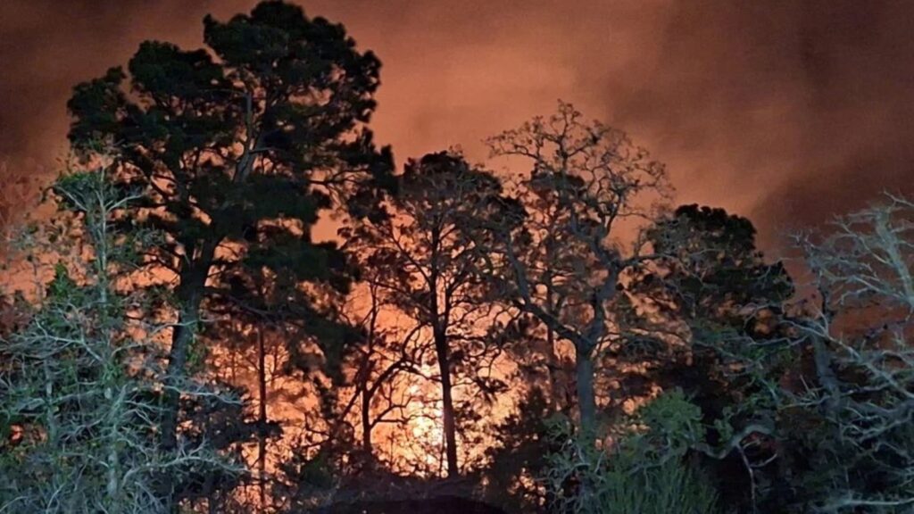 (Photo: Fayette County Sheriff's Office)