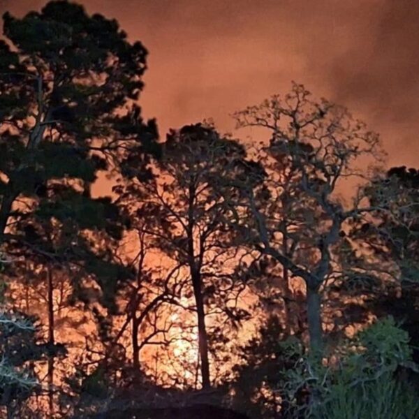 (Photo: Fayette County Sheriff's Office)