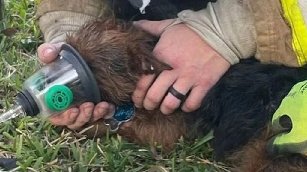 (Photo: Austin Firefighters Association)